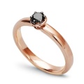 Staviori PRD1595B