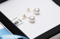 Złote Kolczyki z Perłą 7.5-8.0 mm