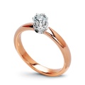 Staviori PRD0660
