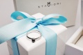 Staviori PBD1595B