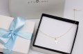 Staviori WZX0429